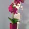 Loft Orchidee