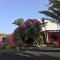 Casa Panama,in der Finca Mimosa