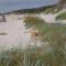 Achtern - Diek - am Strand