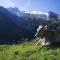 Brixnerhof im Zillertal