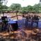 Mara River Camp