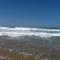 Sultana larache