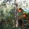 Springbrook Mountain Chalets - Springbrook