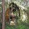 Springbrook Mountain Chalets