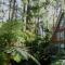 Springbrook Mountain Chalets