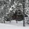 Reclusive Moose Cabins - West Glacier