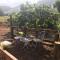 Finca El Vergel Rural
