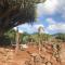 Finca El Vergel Rural