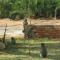 Kruger View Tree House