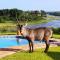 Kruger View Tree House