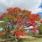 Kruger View Tree House - Marloth Park