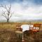 Mpeti Lodge