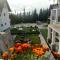 Cetina