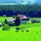 Best Western Plus Schwarzwald Residenz - Triberg