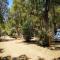 Village Camping Fico D’India