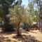 Village Camping Fico D’India