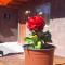 Hostal Open House - San Pedro de Atacama