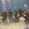 Blue Shark Divers Bunaken