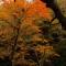 Hakone Nanase formerly known as Manatei Hakone