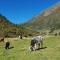Pension Alpenrose