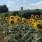 Gite du Calme 3 Star Bed & Breakfast Cognac