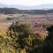 Cortijo Los Soledad - El Sauco