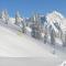 Apartchalet Sisi- including Saalfelden Leogang Card