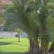 Jardines de Las Marinas - Royal Suite
