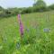 Holmleigh House Bed and Breakfast