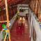Hostel La Ballena Backpacker