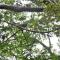 PULI GuanPu Fallsview Stay House
