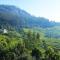 Logan Camp Ooty