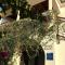 Apartments Mestrovic, Klimno, Soline bay, island Krk