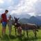 Farm Stay "Alpine Dreams"