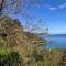 Foto: Gumtree house facing whole Wellington harbour 31/41