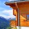 Chalet in Les Collons near Ski Lift