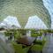 Petra Bubble Luxotel