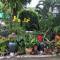 Baan Vanida Garden Resort