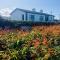Doolin View Apartment