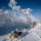 Cabin Huskyfarm Innset