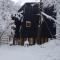 Andrómeda Lodge - Las Trancas