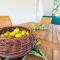 Apartmani Perkovic