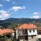 Hotel Acropolis Metsovo - 美特索文
