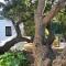 Far Niente Beachfront Guesthouse - Wilderness