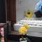 Ella Fresh Point Homestay - 埃拉