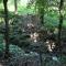 Teva Hotel & Jungle Reserve - مانويل أنطونيو
