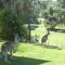 Commercial Golf Resort