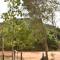 Pidurangala View Home Stay - 锡吉里亚
