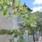 Pansion Prodromina