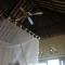 Dalum Homestay